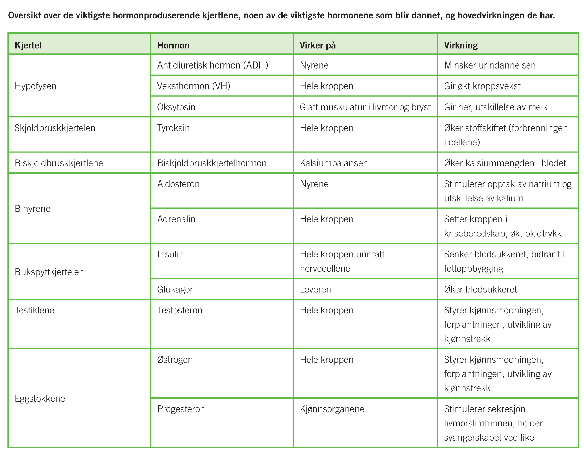 Psykologi 1+2: Hormoner I Kroppen - En Oversikt